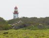 20150914- Capetown-24.jpg