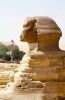 Sphynx 1.JPG Sphynx 1.JPG