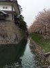 image1.jpg image1.jpg