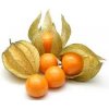 cape gooseberry.jpg cape gooseberry.jpg