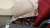 My Seat Mate.jpg My Seat Mate.jpg