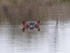 P1040505.jpg P1040505.jpg