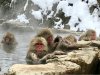 ImageUploadedByAustFreqFly1485130748.746661.jpg ImageUploadedByAustFreqFly1485130748.746661.jpg