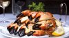 05floridastonecrab.jpg 05floridastonecrab.jpg
