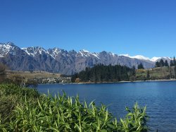 IMG_1555.JPG IMG_1555.JPG