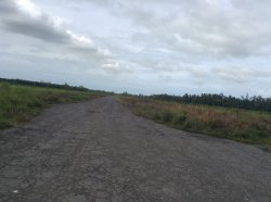 103 - Runway road.jpg 103 - Runway road.jpg