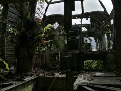 106 - Plane wreck 3.jpg 106 - Plane wreck 3.jpg