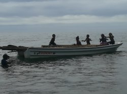 122 - Collecting and transporting timber for a haus.jpg 122 - Collecting and transporting timber for a haus.jpg