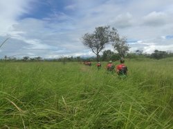 129 - Overgrown Japanese Buna Airstrip.jpg 129 - Overgrown Japanese Buna Airstrip.jpg