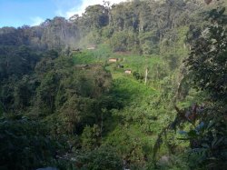 155 - Track into Wase Creek Camp.jpg 155 - Track into Wase Creek Camp.jpg