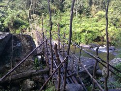 157 - Bridge crossing.jpg 157 - Bridge crossing.jpg