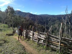 160 - Sam.jpg 160 - Sam.jpg