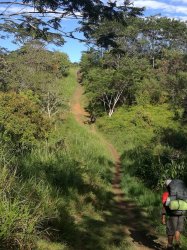 160 - Enjoyable walk.jpg 160 - Enjoyable walk.jpg