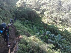 161 - Winding down from Naduri Village.jpg 161 - Winding down from Naduri Village.jpg