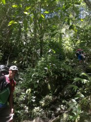 161 - Another uphill.jpg 161 - Another uphill.jpg