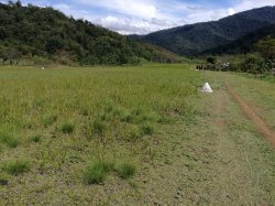 168 - Airfield.jpg 168 - Airfield.jpg