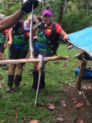 173 - Papuan black snake.jpg 173 - Papuan black snake.jpg