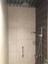 BB613AED-86AC-4931-B054-B62639C347BC.jpeg BB613AED-86AC-4931-B054-B62639C347BC.jpeg