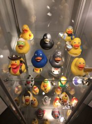 35624BA1-DFFB-497F-BC3C-FAC850CF27B9.jpeg 35624BA1-DFFB-497F-BC3C-FAC850CF27B9.jpeg