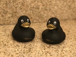 CA3BB5BE-CC65-4E62-AA27-1BA456E2C0C9.jpeg CA3BB5BE-CC65-4E62-AA27-1BA456E2C0C9.jpeg