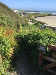 IMG_3714.JPG IMG_3714.JPG