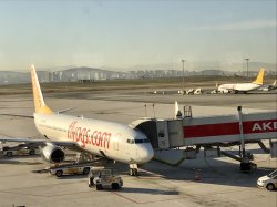 F6047280-A421-4B57-BBB7-0FB7FB9B1632.jpeg F6047280-A421-4B57-BBB7-0FB7FB9B1632.jpeg