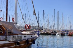 C5DE1F47-6646-459D-98FB-25B99F60D97C.jpeg C5DE1F47-6646-459D-98FB-25B99F60D97C.jpeg