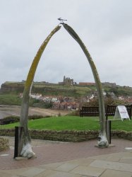 IMG_6757.JPG IMG_6757.JPG