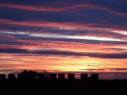 DSC01980.JPG DSC01980.JPG