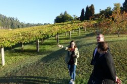 LRG_DSC04791.jpeg LRG_DSC04791.jpeg