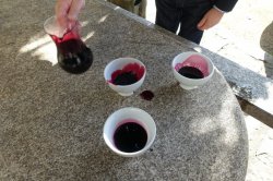 LRG_DSC04819.jpeg LRG_DSC04819.jpeg