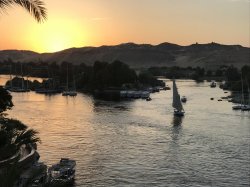 IMG_9732.JPG IMG_9732.JPG