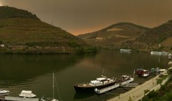 IMG_7051.JPG IMG_7051.JPG