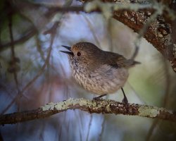 IMG_7480.JPG IMG_7480.JPG