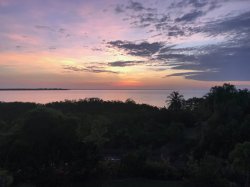 IMG_8134.JPG IMG_8134.JPG