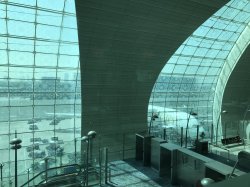 IMG_9844.JPG IMG_9844.JPG