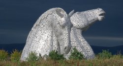 IMG_7169.jpg IMG_7169.jpg