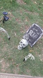 20171031_141733.jpg 20171031_141733.jpg