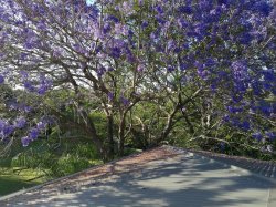 IMG_20171104_061851.jpg IMG_20171104_061851.jpg