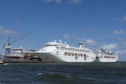 jewel_pearl_m7k2_18187.jpg jewel_pearl_m7k2_18187.jpg