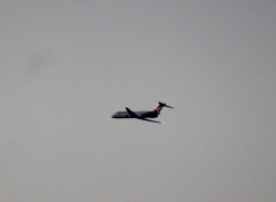 NOV 17 005.JPG NOV 17 005.JPG