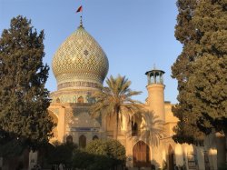 IMG_9916.JPG IMG_9916.JPG