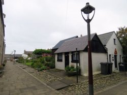 IMG_7421.jpg IMG_7421.jpg