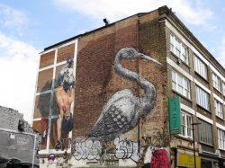 IMG_4484.JPG IMG_4484.JPG