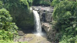 D3D46F0B-A1EC-4519-AF31-7D9837D7C715.jpeg D3D46F0B-A1EC-4519-AF31-7D9837D7C715.jpeg