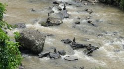 0CE4A42F-A868-437D-A5D7-3750B738CE83.jpeg 0CE4A42F-A868-437D-A5D7-3750B738CE83.jpeg