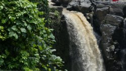 02A3DE0A-E4B6-4C2C-B51A-E0A652F2A8CA.jpeg 02A3DE0A-E4B6-4C2C-B51A-E0A652F2A8CA.jpeg