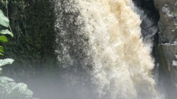 9197CEDB-832E-430C-A54C-AAFE218765B1.jpeg 9197CEDB-832E-430C-A54C-AAFE218765B1.jpeg