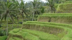 512FF8D7-3C68-41CC-B388-2FA982D00182.jpeg 512FF8D7-3C68-41CC-B388-2FA982D00182.jpeg