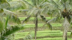 3E0DD810-8A9C-4072-A32F-6397A8D95C7F.jpeg 3E0DD810-8A9C-4072-A32F-6397A8D95C7F.jpeg